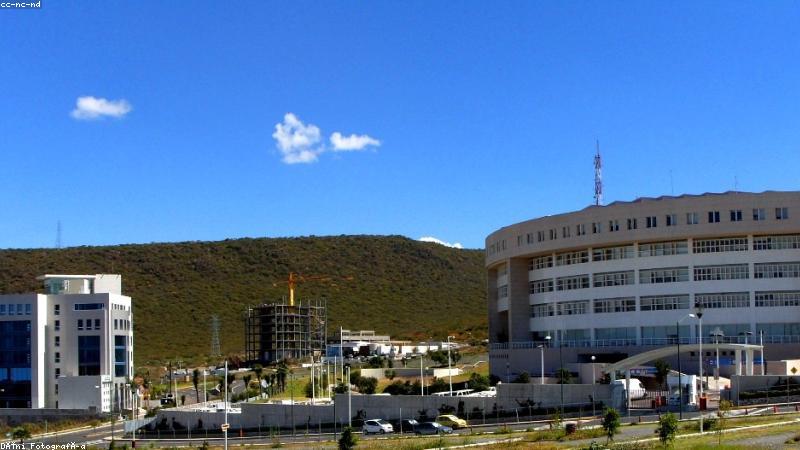bt之家首页界面与磁力资源检索示意